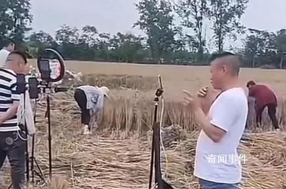 網紅扎堆到麥地直播割麥 網友紛紛指責網紅們蹭流量