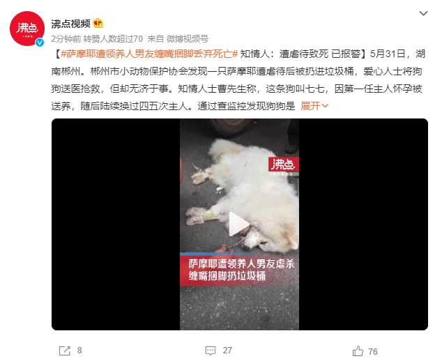 薩摩耶遭領養人男友捆腳丟棄死亡 警方建議走法律程序