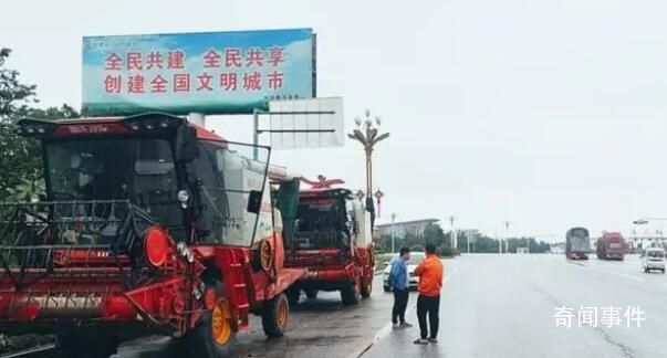誰拖了河南麥收后腿?媒體梳理分析