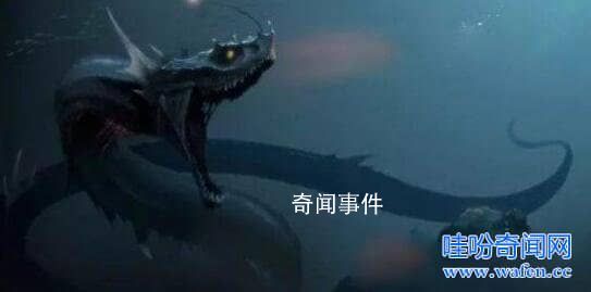 海上蛇怪未解之謎 海上蛇怪的目擊事件有哪些