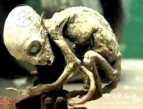 中國人是外星人后裔嗎 外星人暗中幫助中國人是怎么回事