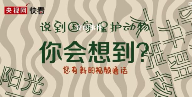 環(huán)境保護(hù)的耀眼“實績”