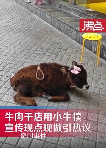 牛肉干店把牛犢拴門口吆喝現(xiàn)點現(xiàn)做 網(wǎng)友紛紛對此表示譴責