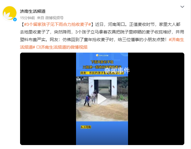 3個(gè)留家孩子見(jiàn)下雨合力搶收麥子 網(wǎng)友：仿佛回到了童年搶收麥子時(shí)