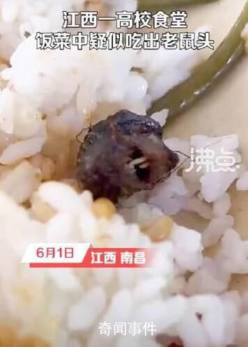 高校鼠頭涉事窗口幾乎沒人去吃飯 多部門澄清高校食堂吃出老鼠頭