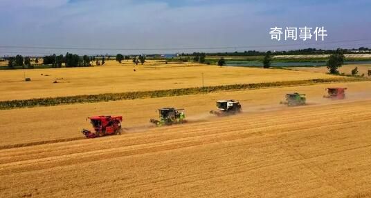 全國“三夏”麥收進度過半 全國日均收獲面積1500萬畝以上
