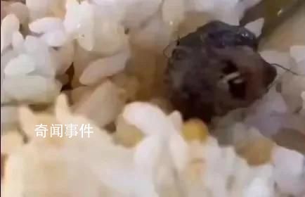 鼠頭鴨脖食堂意見反饋群曝光 事件還在持續發酵當中