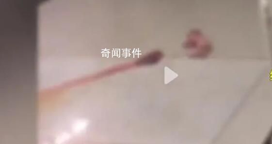 醫院回應新生兒被遺留大廳 目前母嬰平安