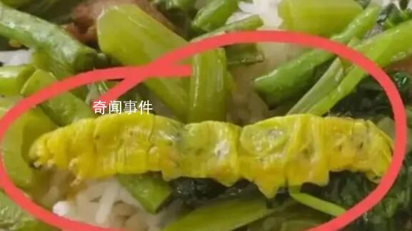 實地探訪“鴨脖事件”涉事學校