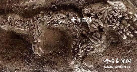 鬼妖為什么不敢害皇帝 為什么皇帝被成為真龍