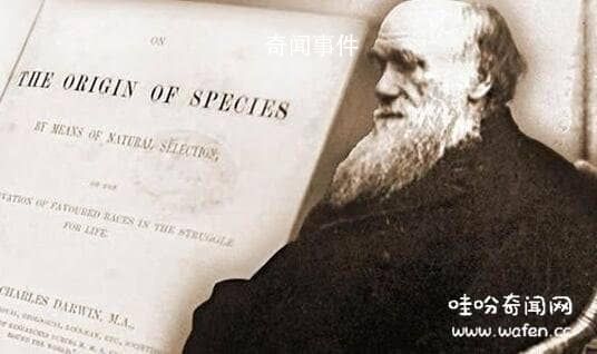 達爾文的進化論是什么 達爾文晚年為什么推翻進化論