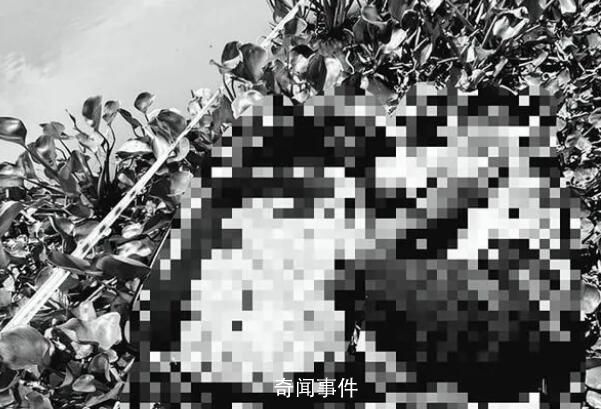 中國男子被同胞殺害藏尸行李箱 背后真相恐怖至極