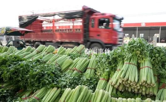 福州老農(nóng)賣菜獲利14元被罰10萬 領(lǐng)了天價罰單