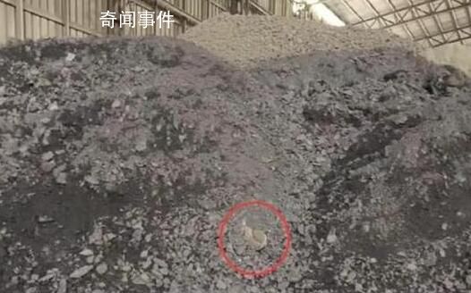 被絞死男子家屬:工人疑見尸塊未報告