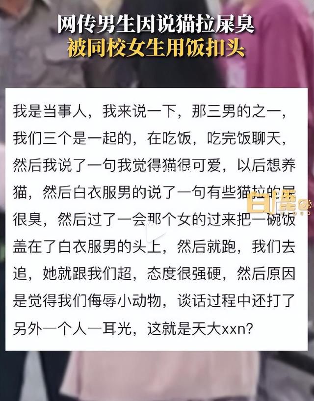 男生說貓屎臭被頭上扣飯?警方回應