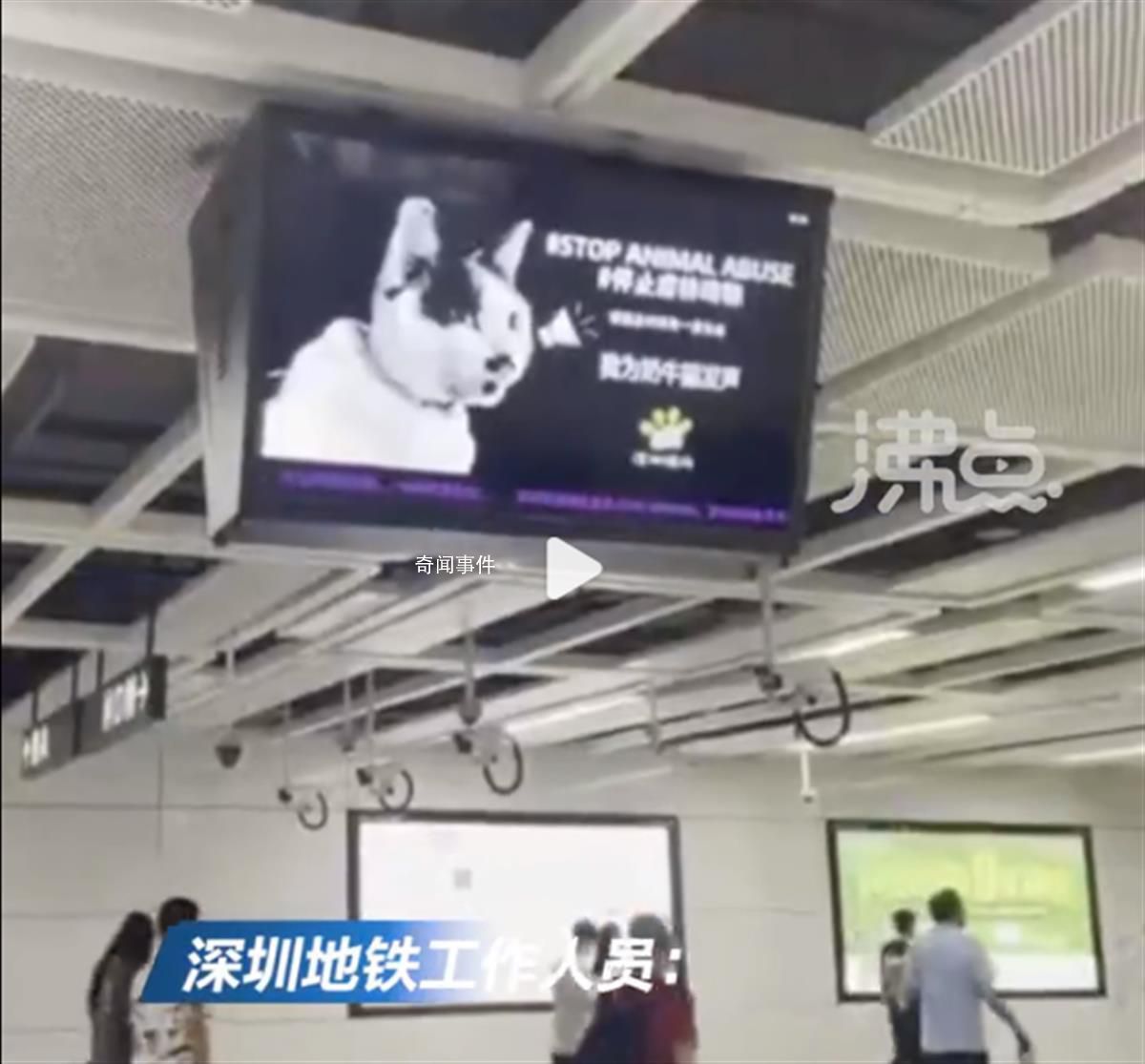 深圳地鐵投放反虐動物廣告遭投訴 稱虐待動物本身就是偽概念