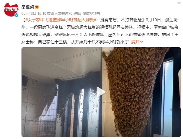 女子家中進(jìn)蜜蜂 半小時(shí)被筑超大蜂巢