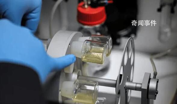 英美團隊稱創造出合成人類胚胎模型 這是一項突破性的進步