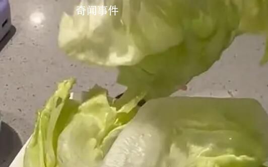 海底撈回應8塊錢生菜僅2片 兩片可能已經到達了克重