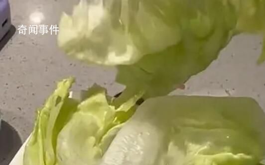 顧客吐槽海底撈8塊錢生菜僅2片 后引發全網熱議