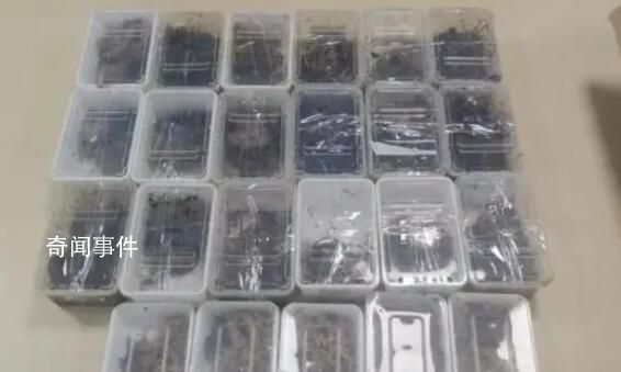 深圳郵局海關查獲秘魯巨人蜈蚣 已移送海關處置部門進一步處理