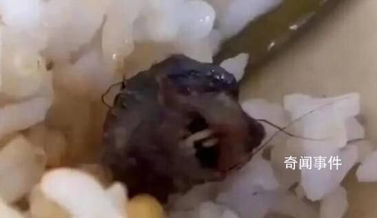 官方:頂格處罰鼠頭鴨脖涉事企業