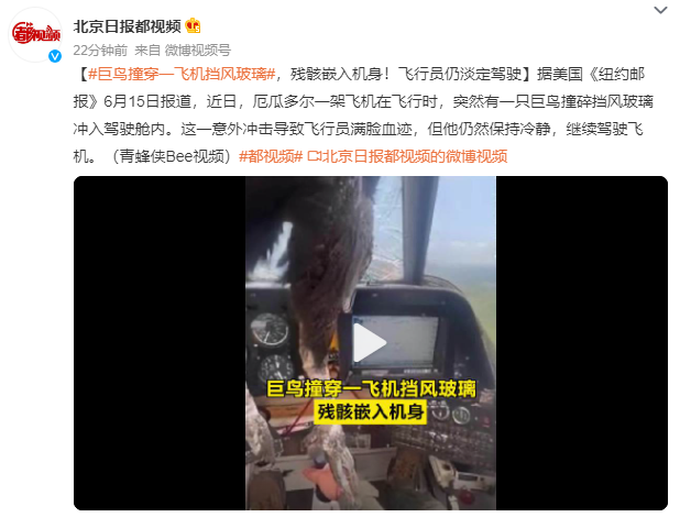 巨鳥撞穿飛機擋風玻璃 殘骸嵌入機身
