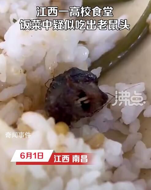 “鼠頭鴨脖”院校已刪除鴨脖聲明