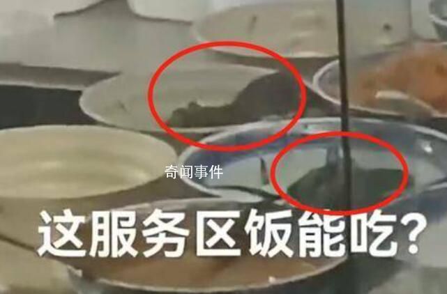 服務區菜盆中驚現老鼠 引發網友熱議