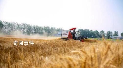 “三夏”農忙正當時 各地生產一線觀察