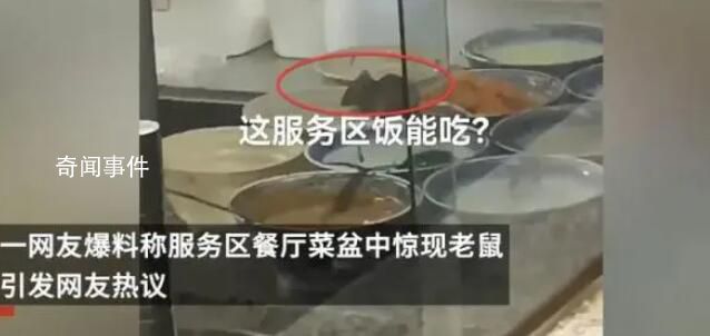 菜盆現兩只老鼠餐廳停業整改 并立案查處