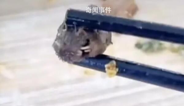 鼠頭鴨脖涉事院校周邊校食堂多數關停 涉事企業經營700多個高校食堂