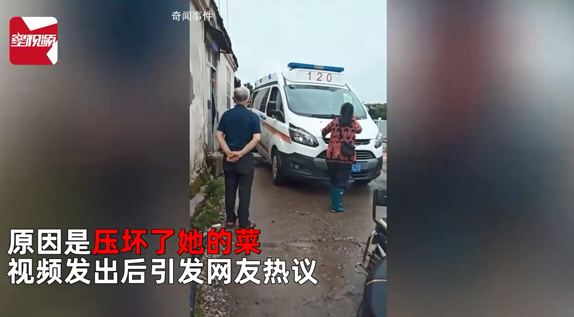 救護(hù)車壓壞菜 女?dāng)傊鲾r車不讓走