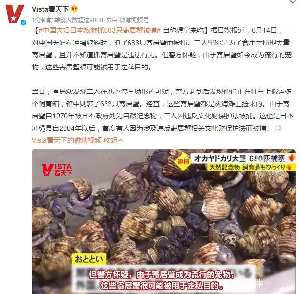 中國夫婦日本旅游抓683只蟹被捕 稱不知道抓寄居蟹是違法行為