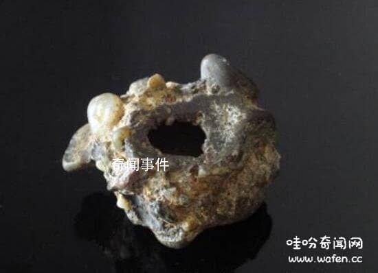 金陵神罐的價(jià)值是多少 金陵神罐奇石之謎是什么