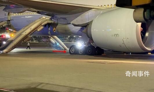 國泰航空客機中止起飛 11名乘客受傷