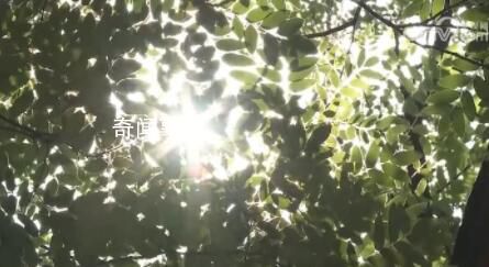 專家:四方面原因疊加致高溫持續(xù)