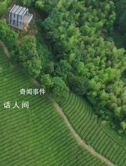 空中視角看千萬工程調研行 二十年持續發力二十年久久為功