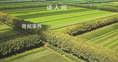 如果精神有顏色它一定在其中 必將守護生機盎然的未來