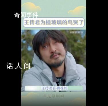 王傳君為撞玻璃的鳥流淚 共情能力太強了