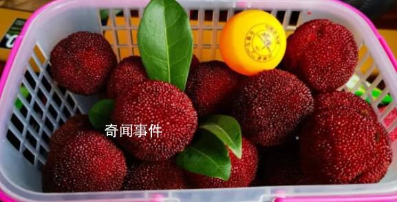 男子每天1斤楊梅狂吃20天要做血透 突然渾身乏力