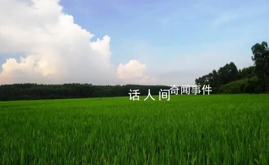 在希望的田野上 土生萬物地載萬代