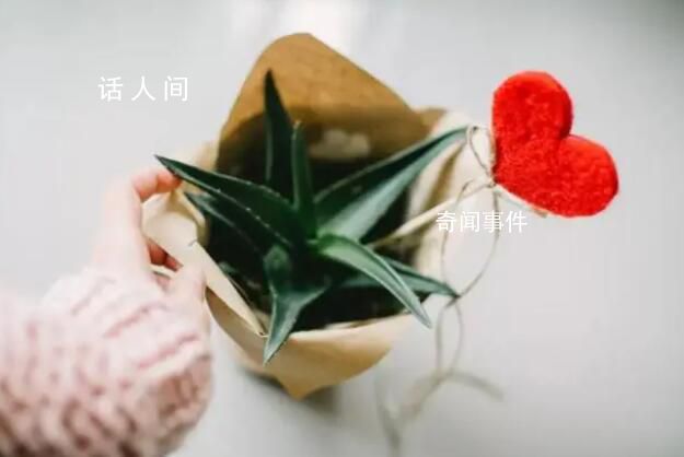 如果人們看得見 赤誠是指人們真實(shí)坦誠地表達(dá)自己的想法