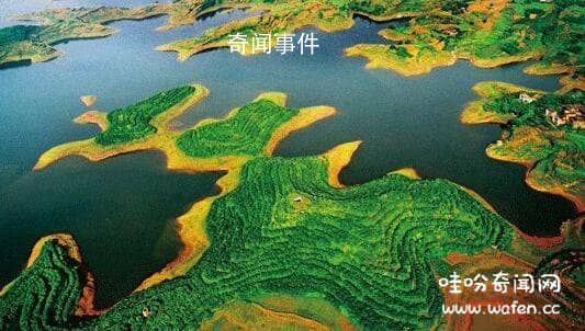 地球之腎是指哪里 地球之腎的作用是什么 地球之腎指什么生態(tài)系統(tǒng)