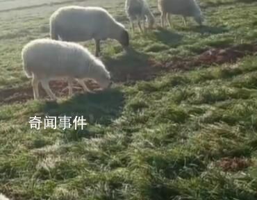 鄰居講述山西男子殺妻滅子案 結婚后夫妻關系不太好