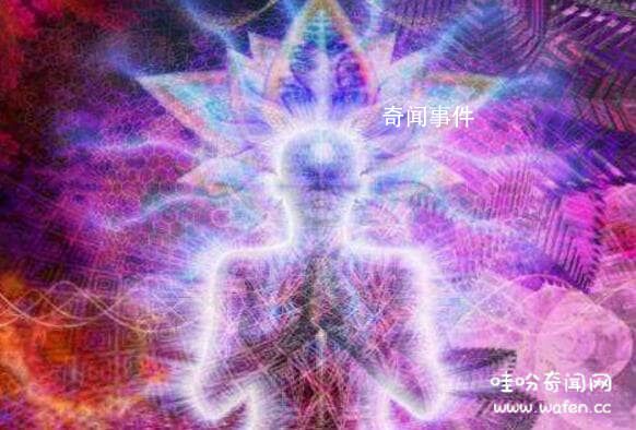 科學(xué)揭秘通靈現(xiàn)象未解之謎 比較常見的動(dòng)物通靈現(xiàn)象有哪些