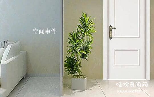 廁所門對著臥室門好嗎 廁所門對著臥室門怎么化解