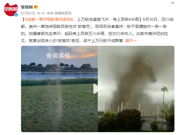 成都一草坪驚現上百條“蚊卷風” 成千上萬只蚊子成群竄飛