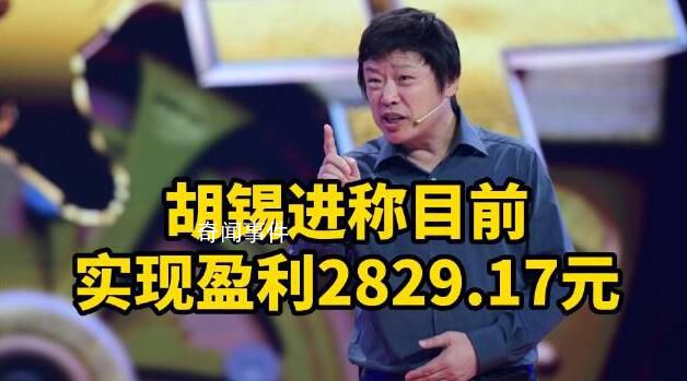 胡錫進:目前實現盈利2829.17元
