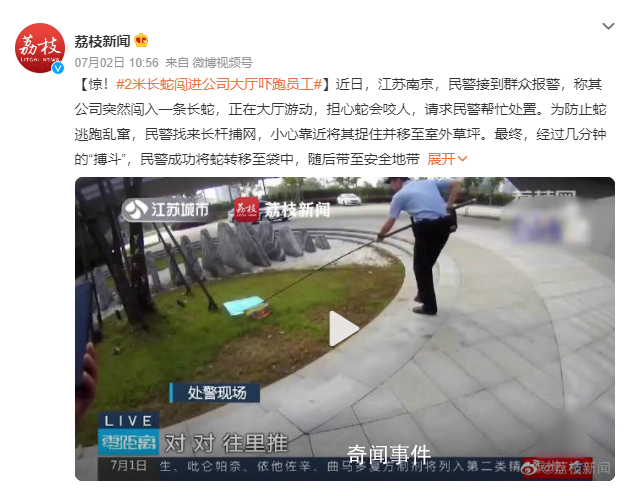 2米長蛇闖進公司大廳嚇跑員工 請求民警幫忙處置